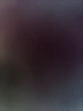Lustynani Live Web Cam Show