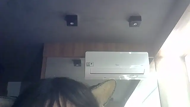 SkinnyKitten webcam