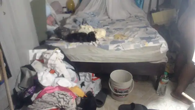 rachelexoticgirl webcam