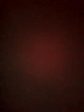 -Tara-a webcam