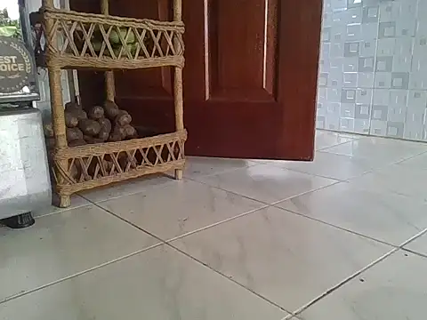Dizzydose webcam