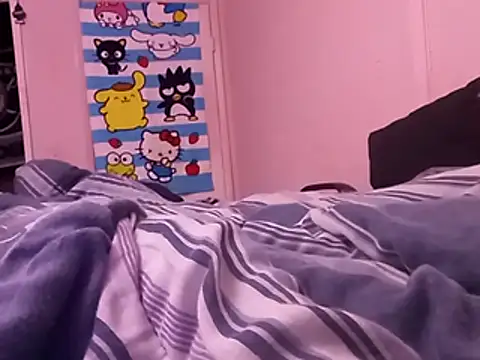 Blkstylion webcam
