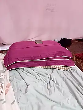 Phoebe-e webcam
