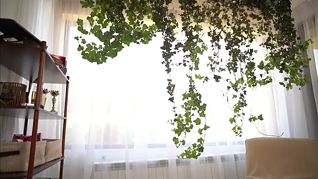 TheMaddisonShow_ webcam