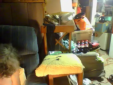 OldManOnline webcam