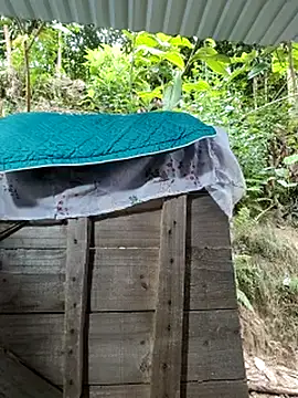 WeaklyMop webcam