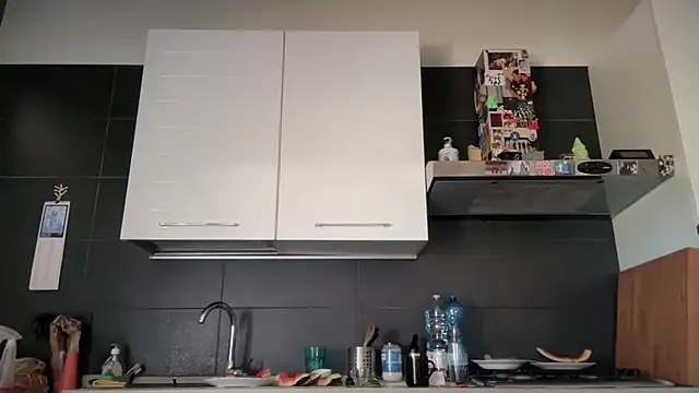 theitalianbear webcam
