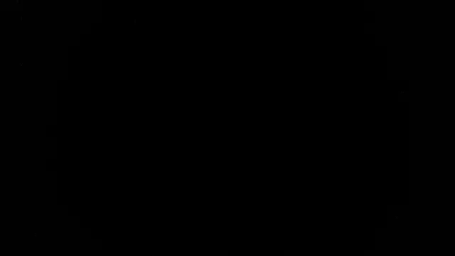 palidin1 webcam