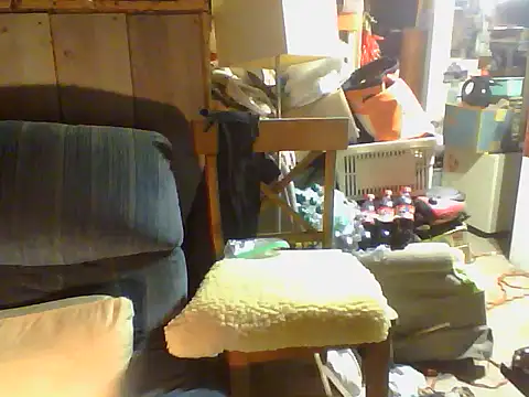 OldManOnline webcam