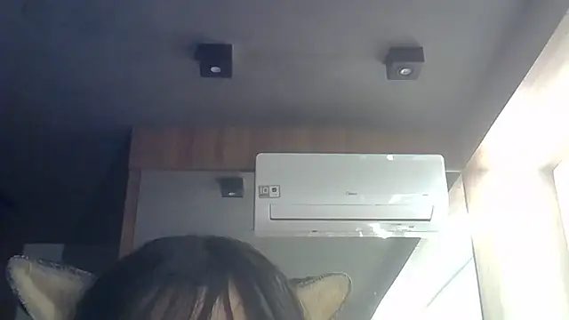 SkinnyKitten webcam