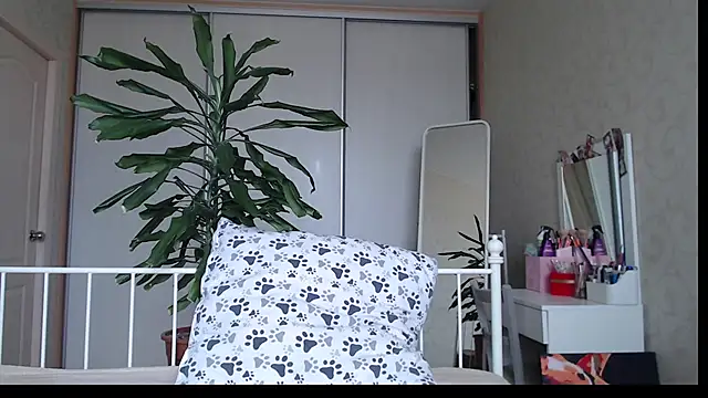 ShyEvaa live cam on StripChat