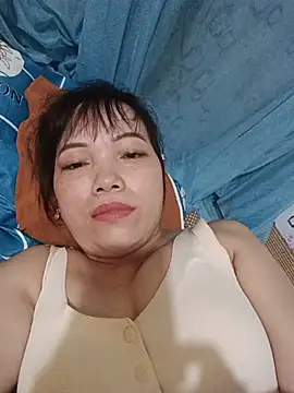 Sana-vn webcam