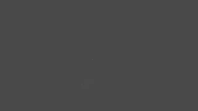CattsyCatt webcam