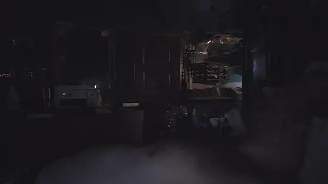 charactrzero webcam