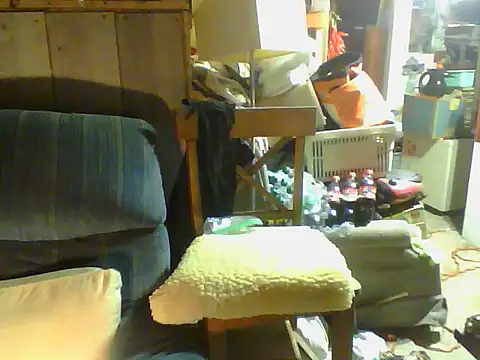 OldManOnline webcam