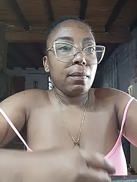 ChanneldelaCroix webcam
