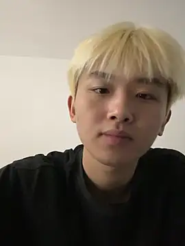 Cnmp6666 webcam