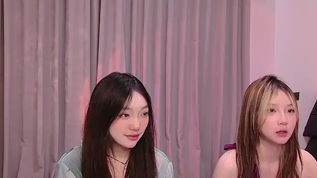 SM-666 webcam