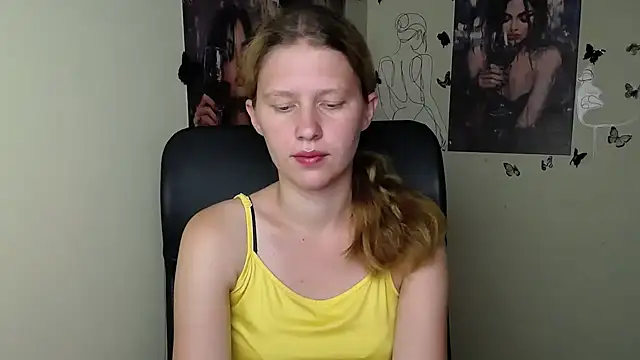 StellaCRL webcam