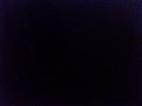 Petitesin webcam