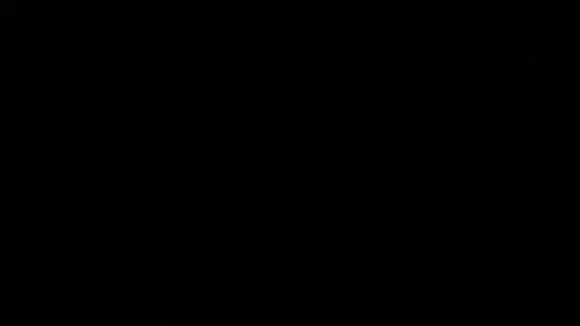palidin1 webcam