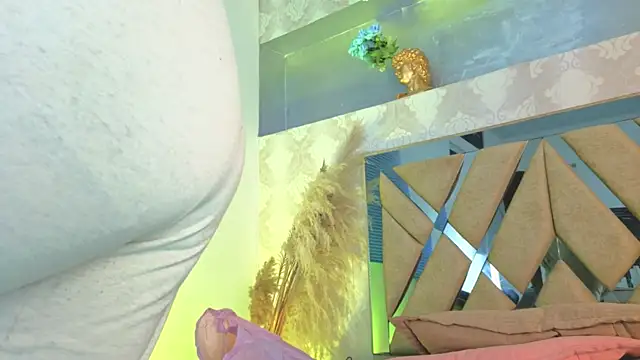 andre20a31 webcam