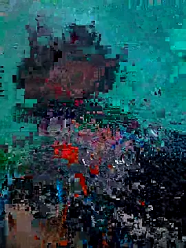 dhararni webcam