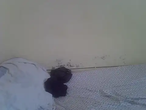 cute-shamza webcam