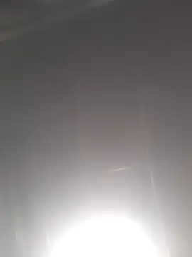 Tina_Mirabella
