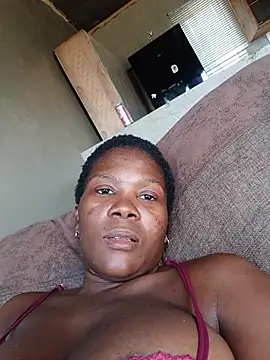 dacchic webcam