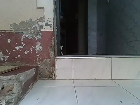 Dizzydose webcam