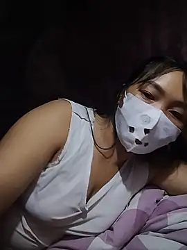 Hiha-nn webcam
