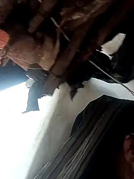 HOranipal57 webcam
