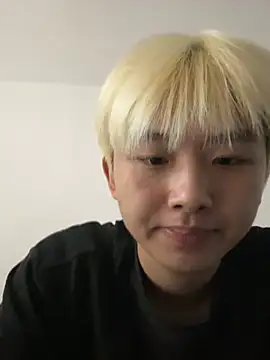 Cnmp6666 webcam