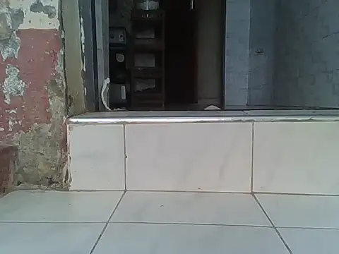 Dizzydose webcam