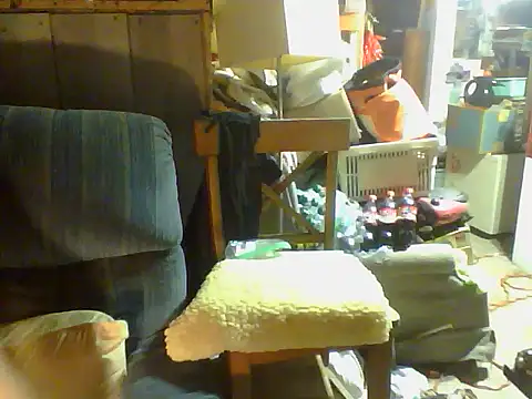 OldManOnline webcam