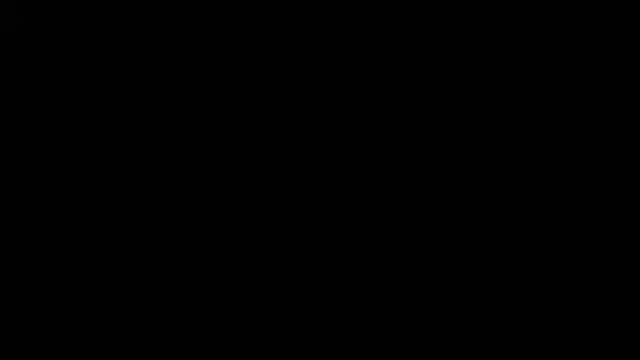 palidin1 webcam
