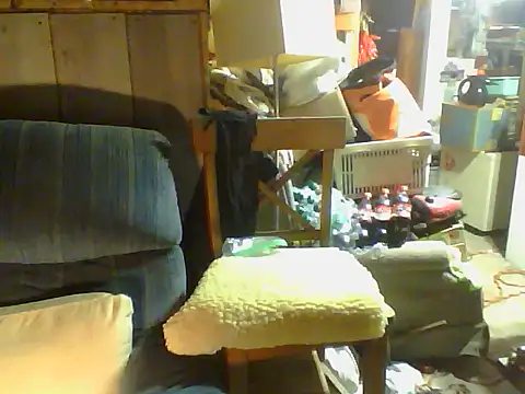 OldManOnline webcam