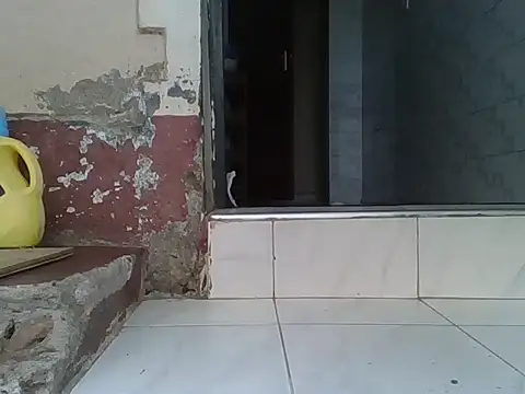 Dizzydose webcam