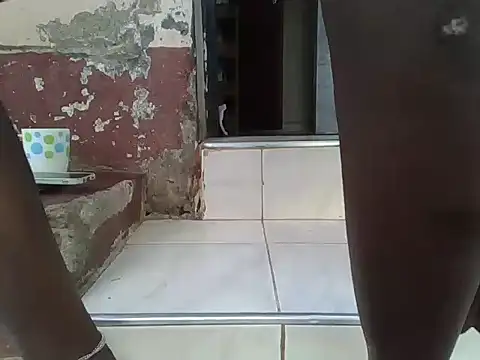 Dizzydose webcam
