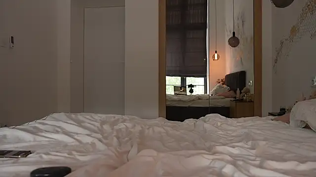 ibiddi webcam