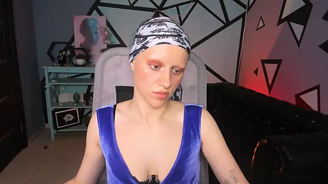 LidaDarknet webcam