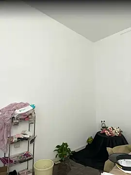 QS-05 webcam