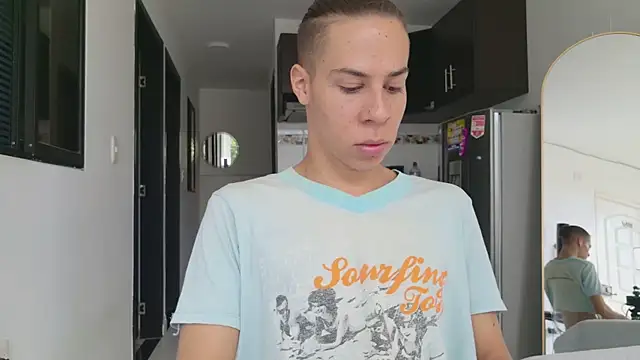 grey___27 webcam