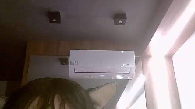SkinnyKitten webcam