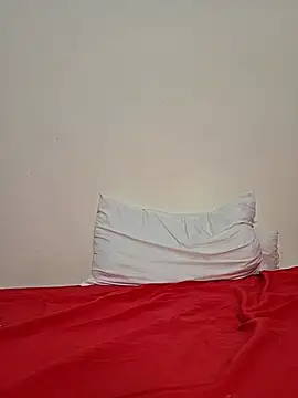 altinya webcam