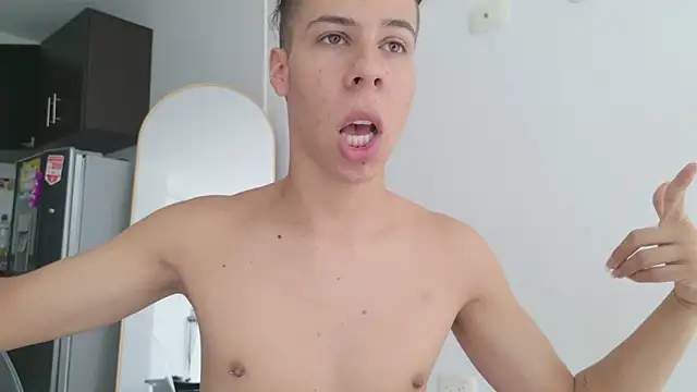 grey___27 webcam