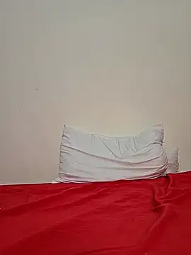 altinya webcam