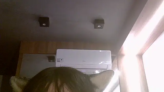 SkinnyKitten webcam