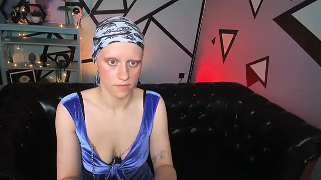 LidaDarknet webcam